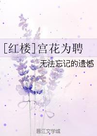 宫花为聘小说