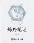 炼丹师的莫名穿越