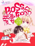 闪婚厚爱boss爱妻如命免费阅读