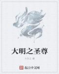 大明之圣尊