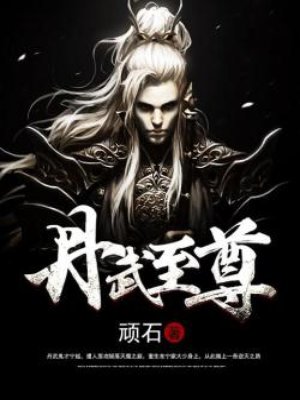 丹武至尊叶星河笔趣阁无弹窗最新