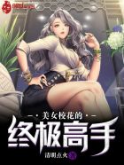 美女校花的终极高手叶凡