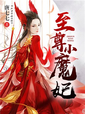 至尊小魔妃小说