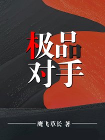 极品对手小说