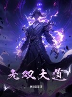 无双大蛇3终极版破解版