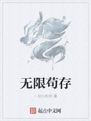 无限流量