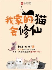 猫有修仙的传说吗