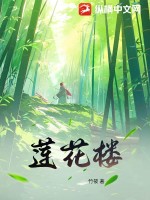 莲花楼电视剧在线免费观看完整版