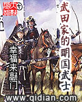 武田家的明国武士书评