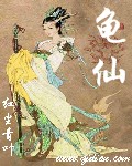 龟仙人茶宠介绍