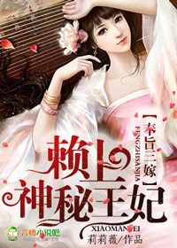 书名奉旨三嫁赖上神秘王妃